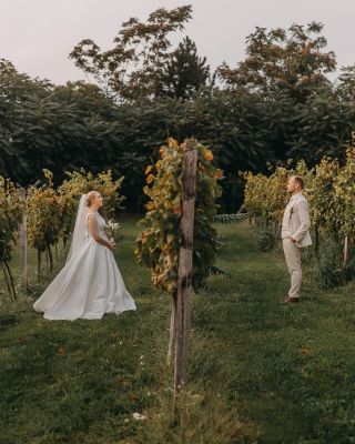 💍 Vaša svadba vo Vinidi – tam, kde sa spája láska, víno a atmosféra viníc. Povedzte si svoje ÁNO medzi viničom, v našej...
